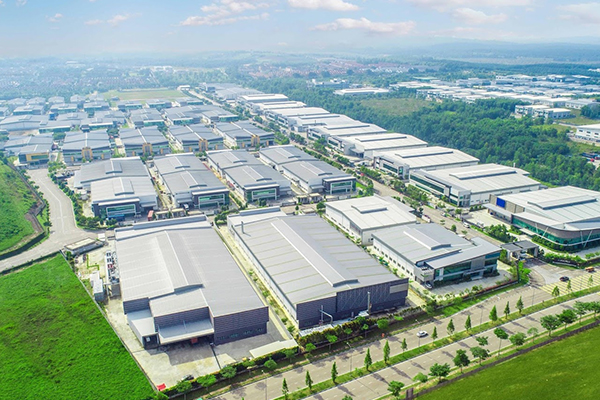 Forest Frenzy Co., Ltd