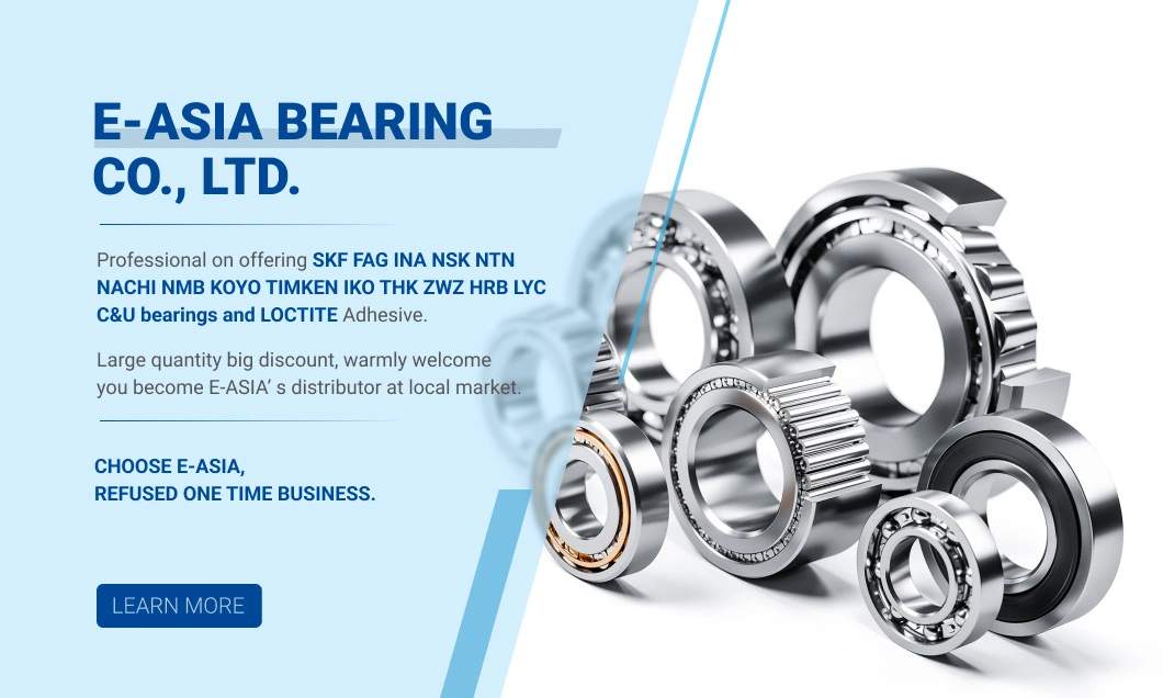 C0/C2/C3/C4 Double Row Rolling Mill Taper Roller Bearing for Pump
