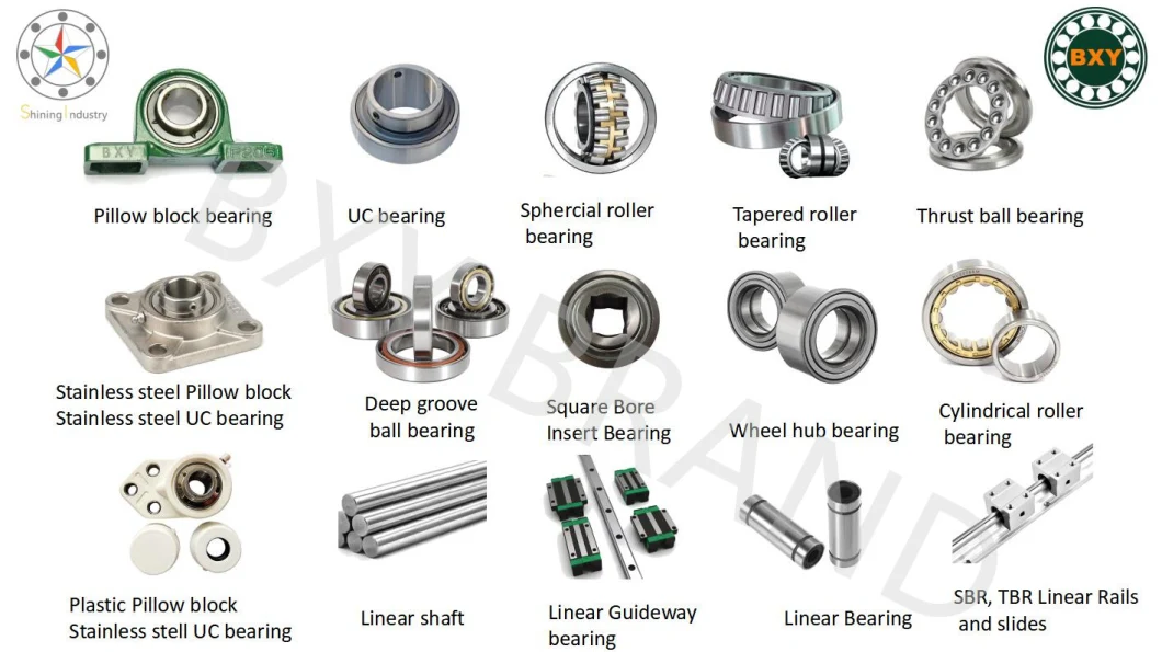 Insocoat Bearing Insulated Bearing Nu313ecm/C3 Vl0241