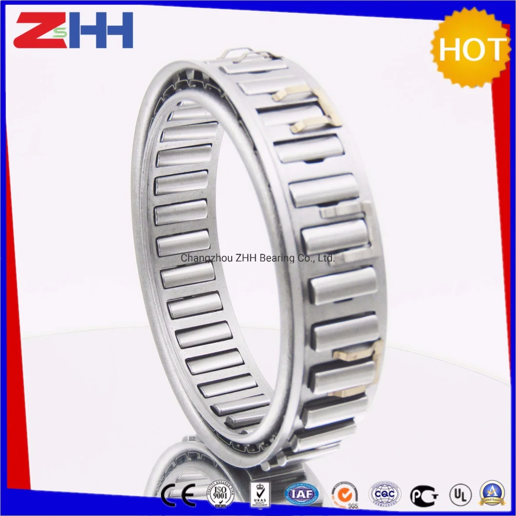 One Way Cage Sprag Clutch Bearings Bwc13230/Bwc13239b/Bwc13168/Bwc13229/Bwc13251/Bwc13261