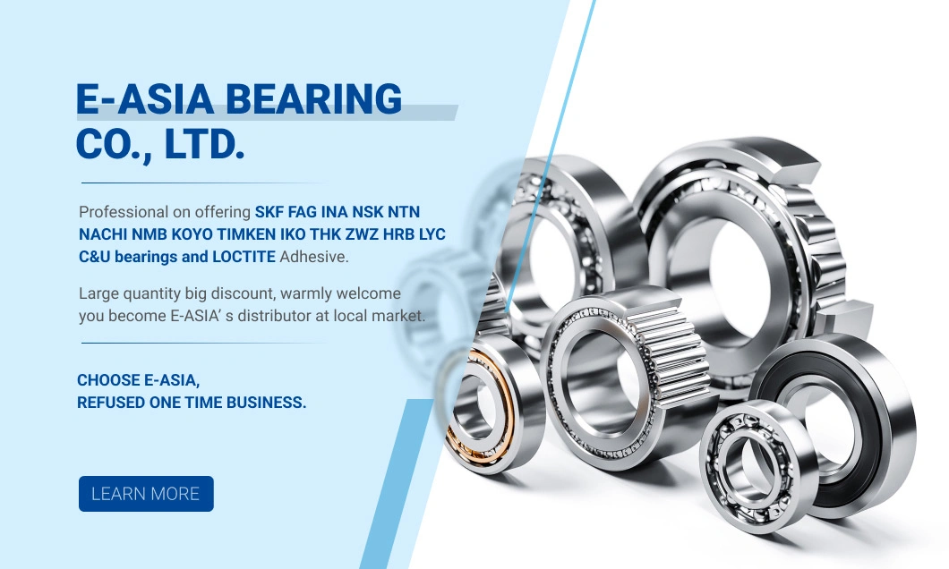 Wj 876 Fa/NSK/Koyo/NTN Crossed Cylindrical Roller Bearings/Re Type Inner Ring Split Type/Harbin Bearing Group/ Cixi Yina/Yina Bearing/ Bearing/Ball Bearing 2309