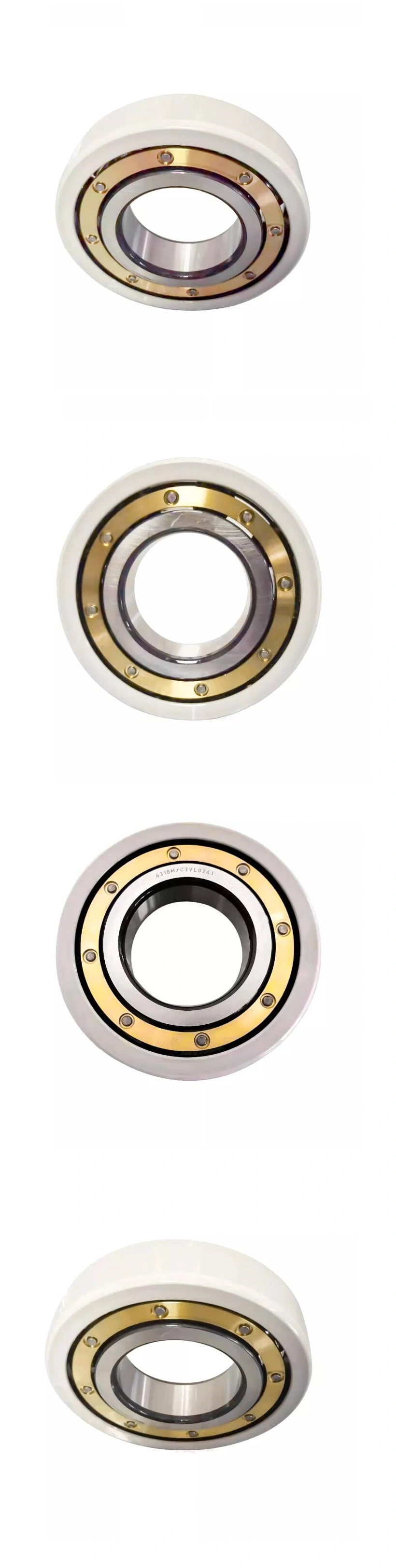 Insocoat Bearing Insulated Bearing Nu313ecm/C3 Vl0241