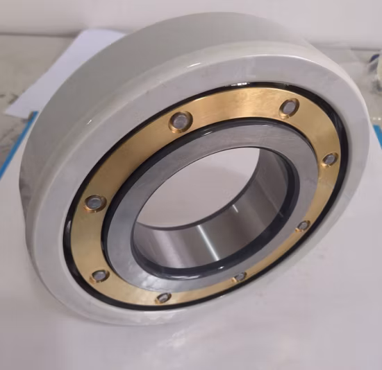 Insocoat Lager Isoliertes Lager Nu313ecm/C3 Vl0241